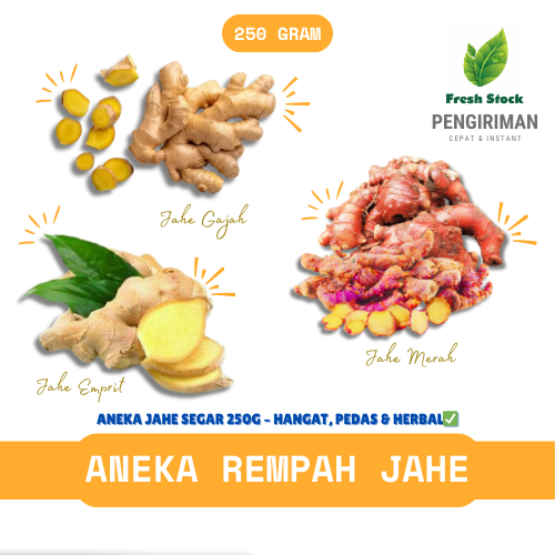 

ANEKA REMPAH JAHE / GAJAH / EMPRIT / MERAH | FreshStock