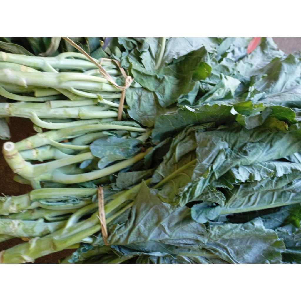 

SAYUR KAILAN / CHINESE BROCOLI HIJAU SEGAR ikat