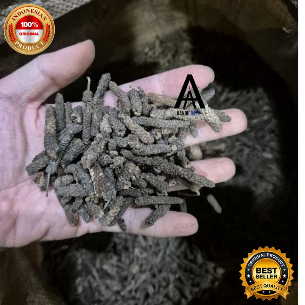 

Cabe Jawa Herbal Asli 1 Kg Stok Terbatas