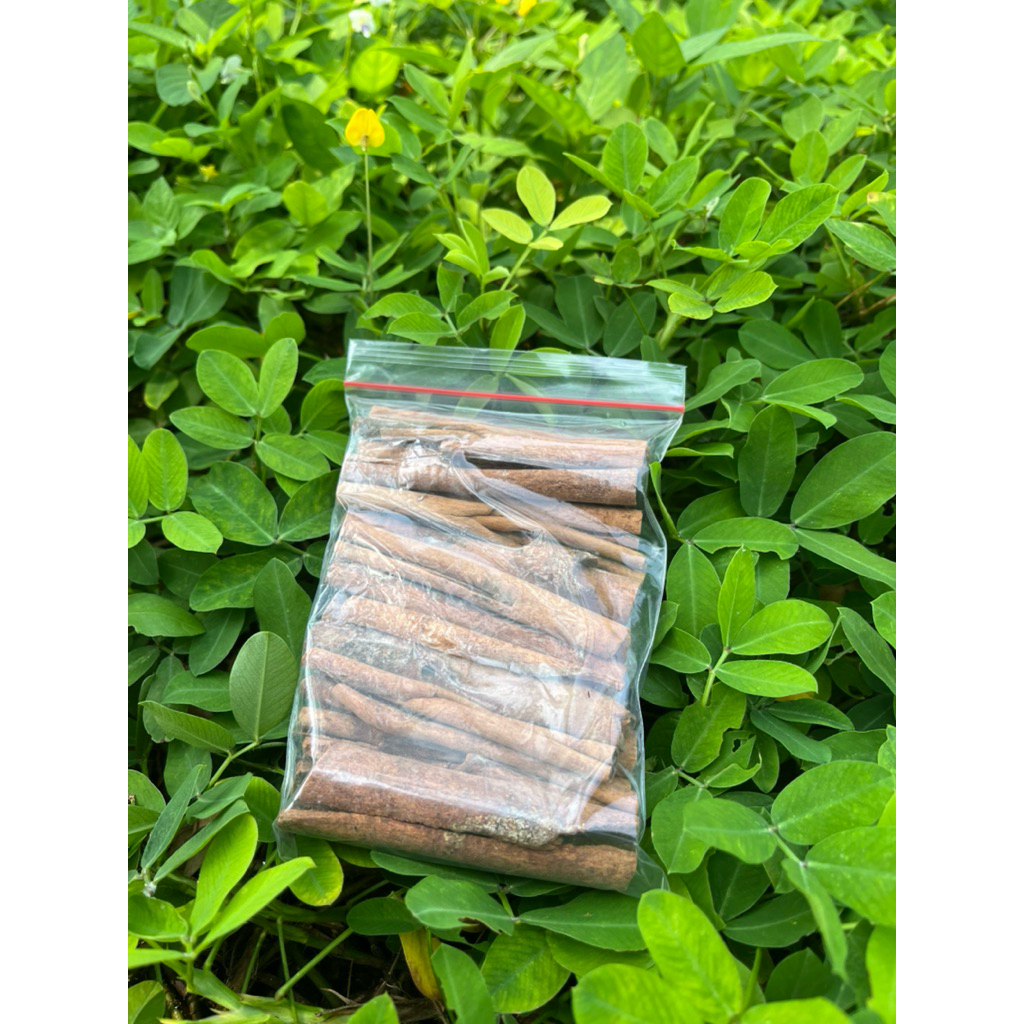 

Kayu Manis Asli Kualitas Super