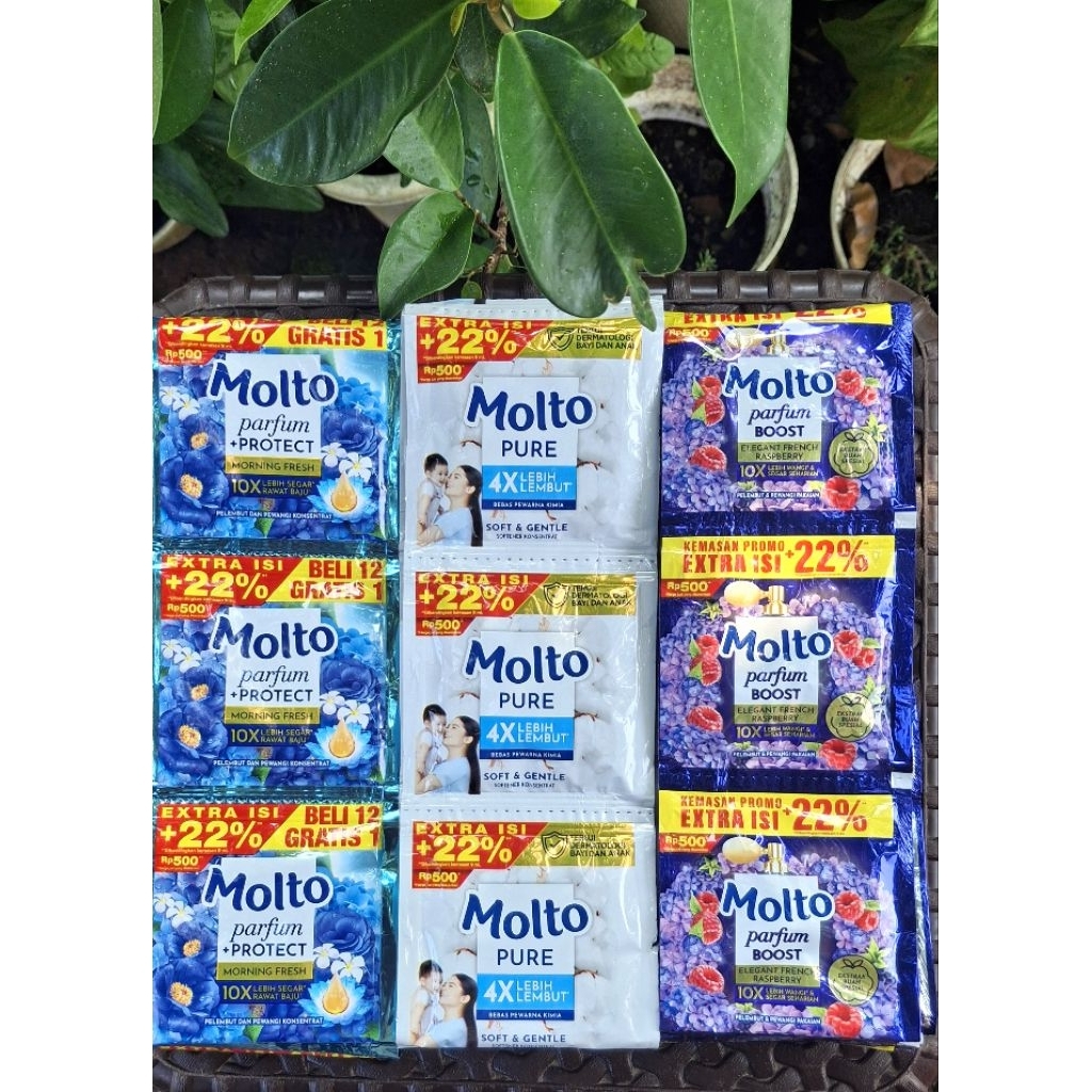 Molto 500 Pewangi Renceng