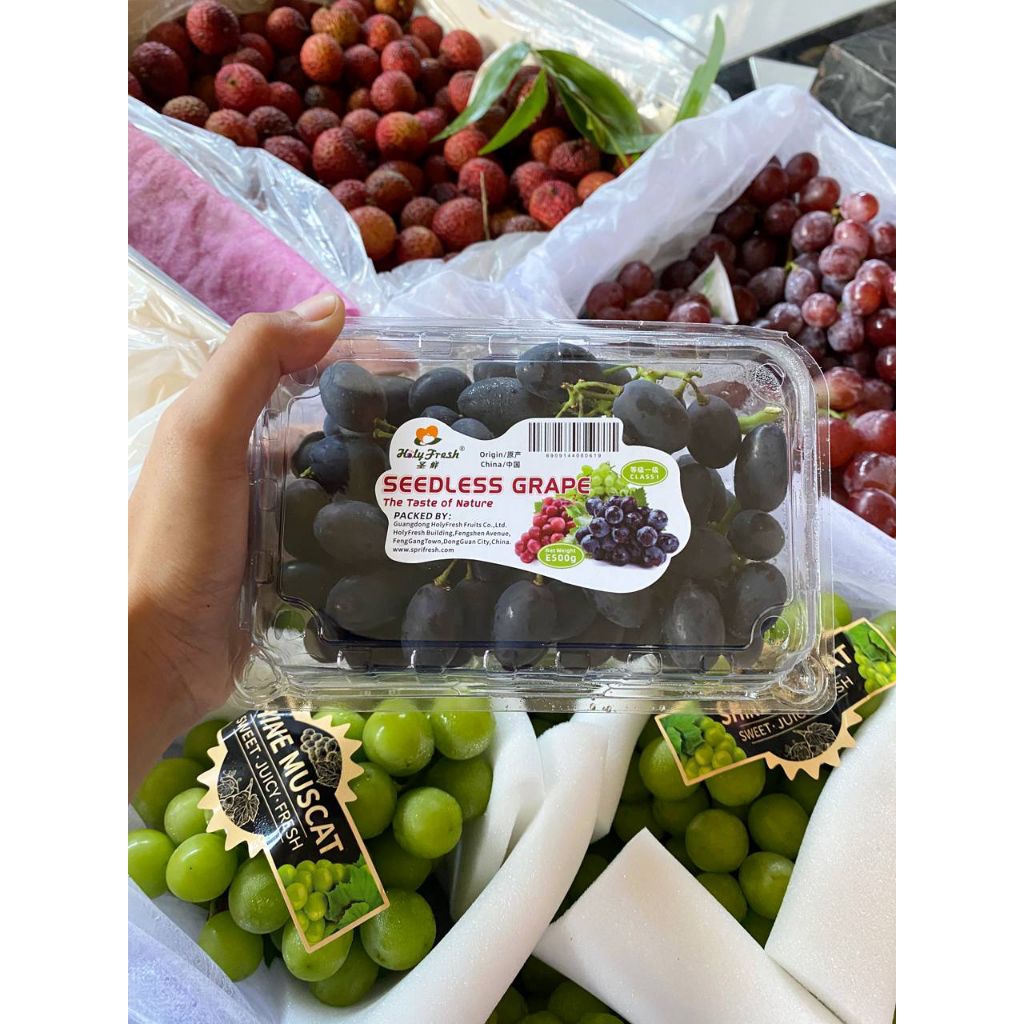 

Anggur Black Autumn Pack -+500gr