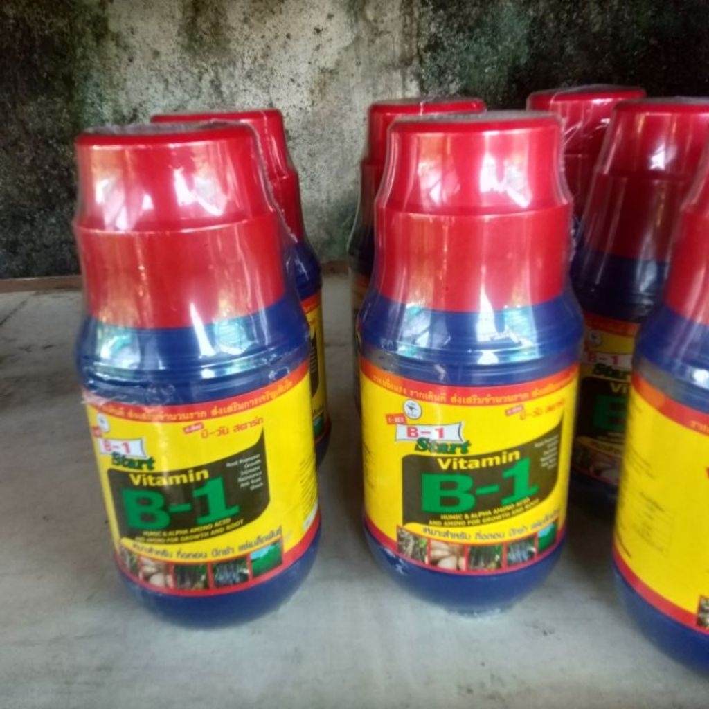 vitamin tanaman Thailand 500ml B1 Thailand penyegar tanaman