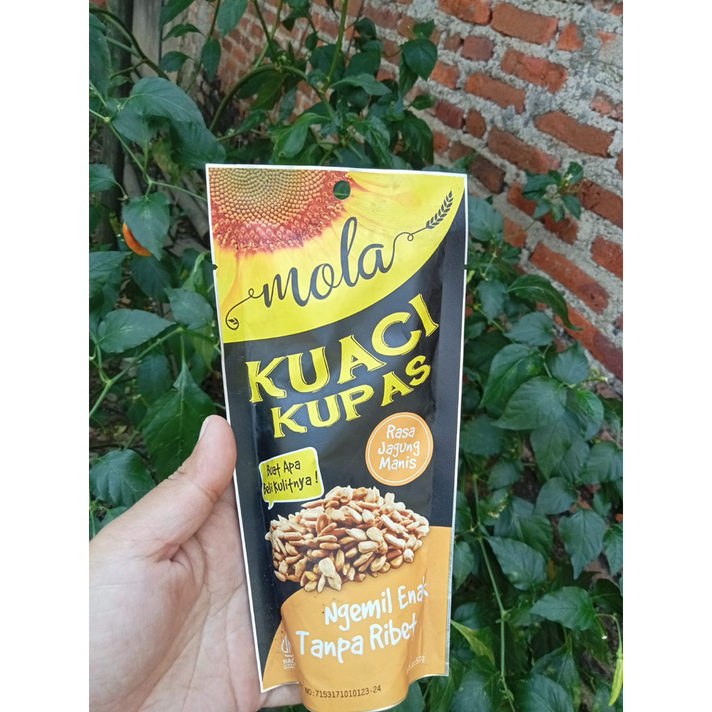 

Kuaci Kupas
