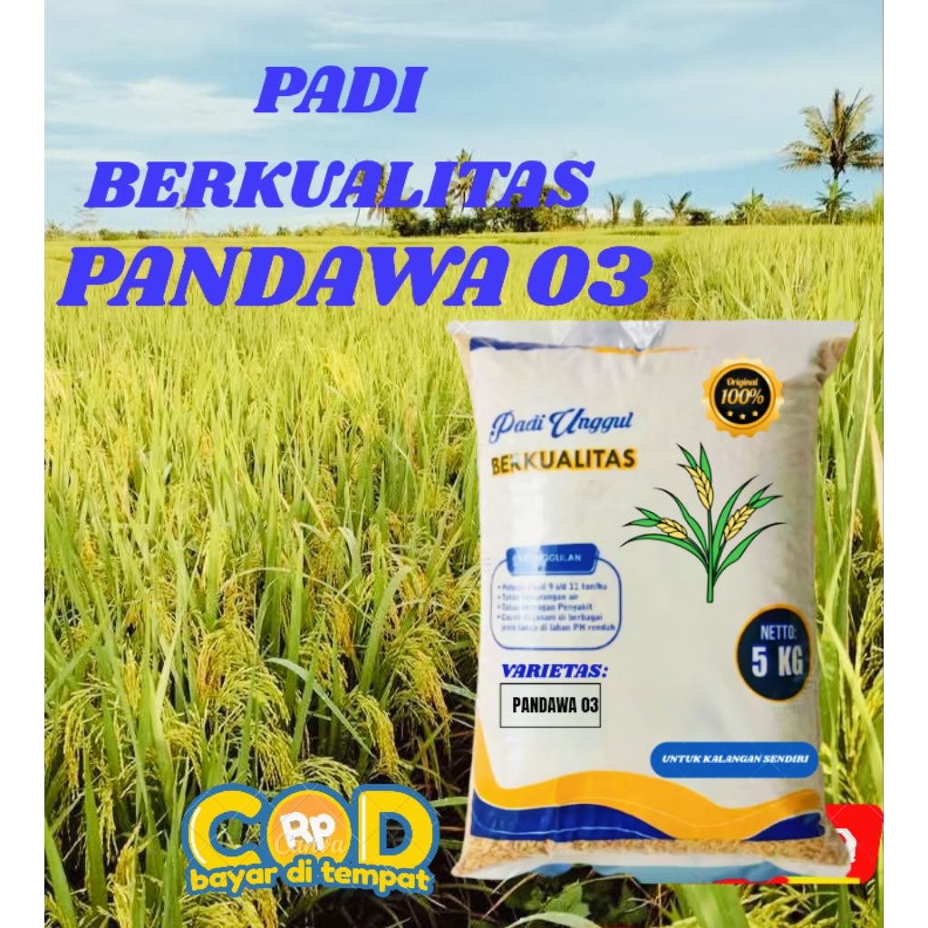 

BENIH PADI UNGGUL PANDAWA 03 ORIGINAL KEMASAN 5 KG