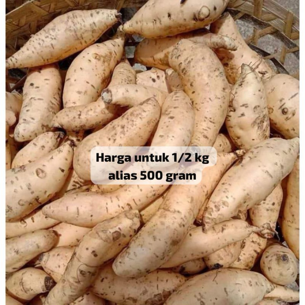 

UBI MADU CILEMBU MENTAH BERSIH ½ KG DIJAMIN MANIS LEZAT BERKUALITAS