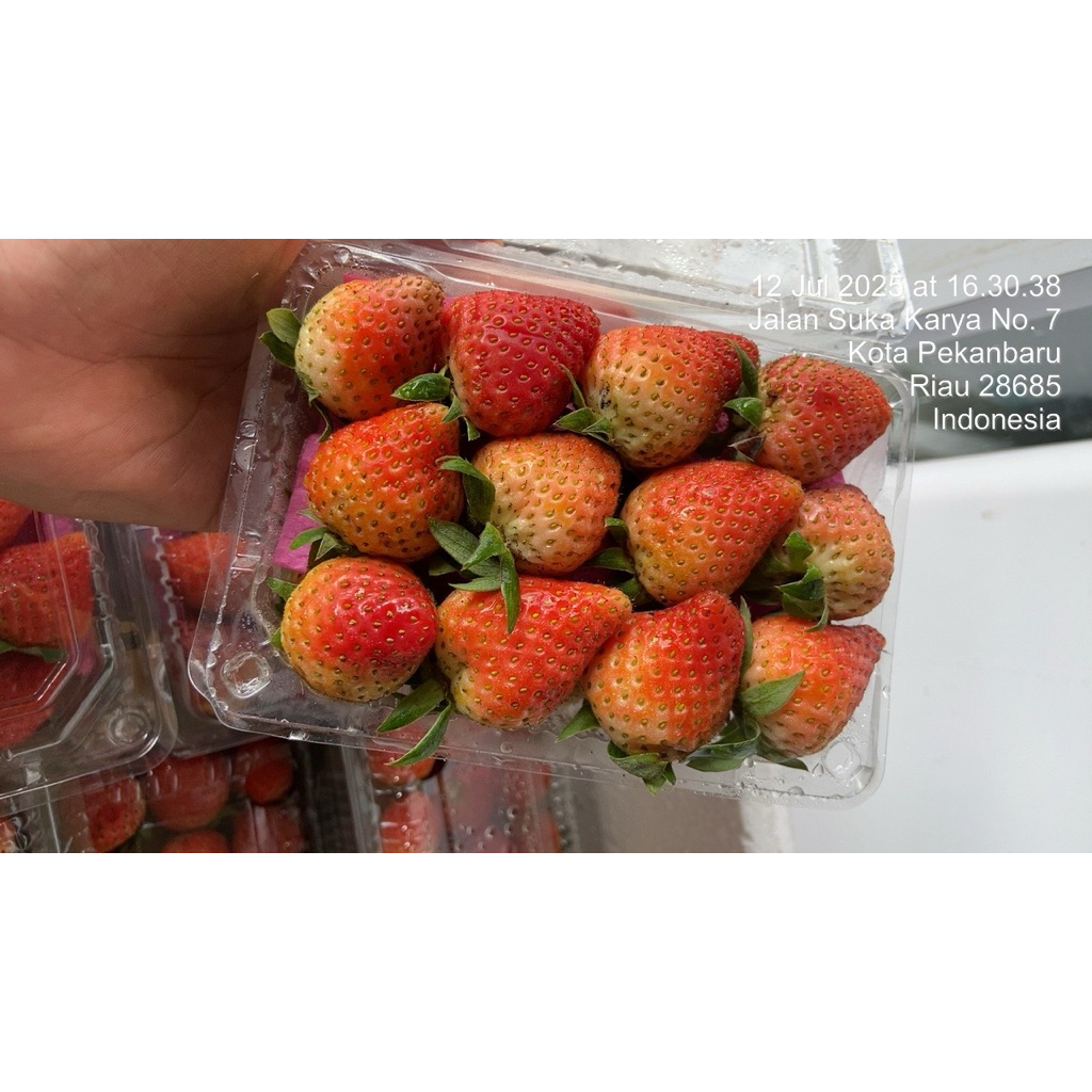 

stroberry bandung