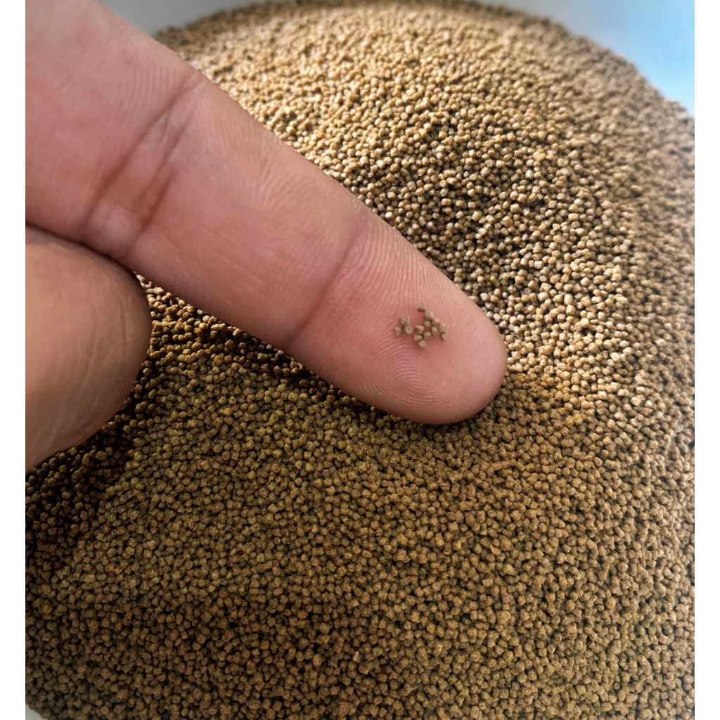 Sellyliavitaliavita Pelet Pakan Bibit Ikan Kecil Super (1Kg) Ikan Hias Koki Glofish Cupang Neon