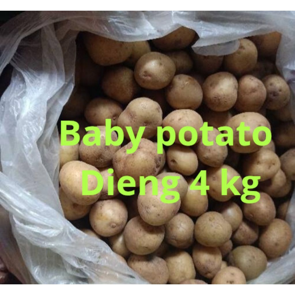 

Bismillahirrahmanirrahim ready kentang rendang 4 kg, ukuran mini kecil