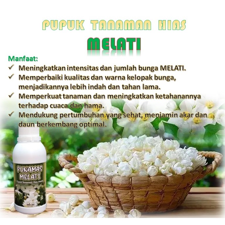PUPUK MELATI / pupuk bunga melati / nutrisi bunga melati / booster bunga melati