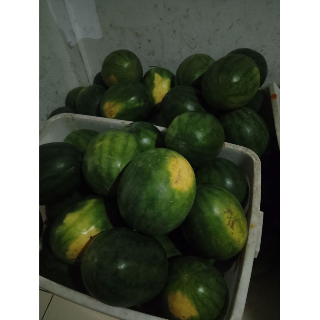 

buah semangka merah Tampa biji / 3kg