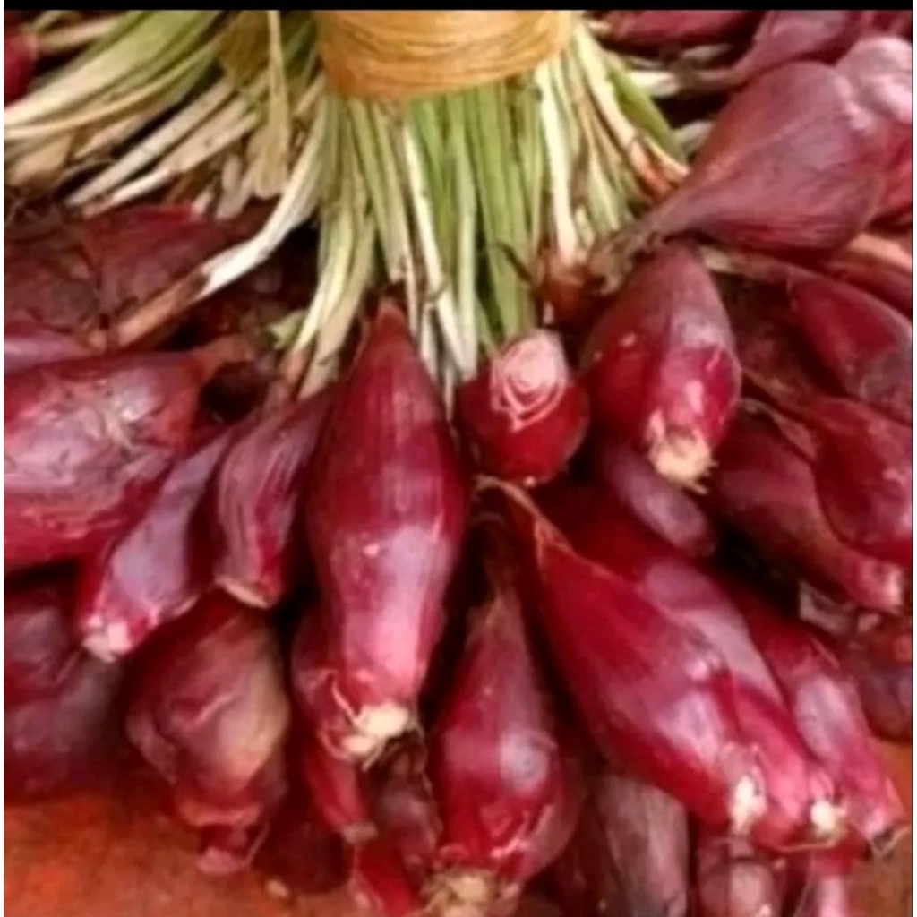 

bawang dayak bawang segar 1,KG