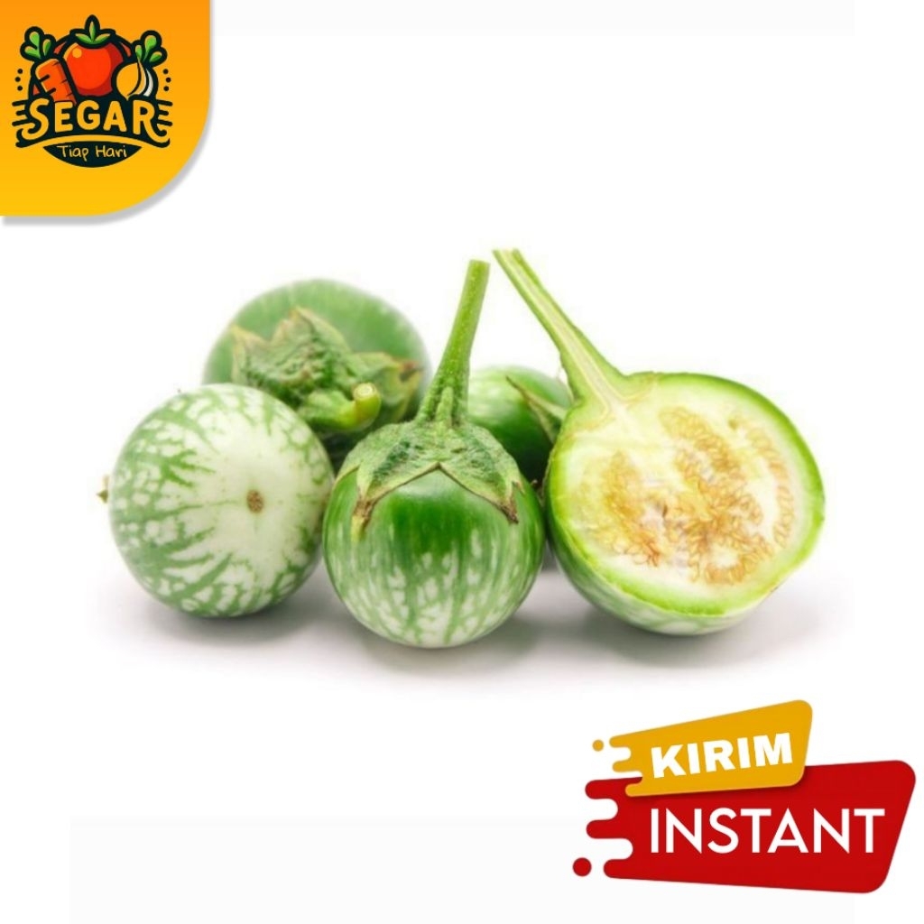 

SEGAR TIAP HARI | TERONG BULAT - 500GR