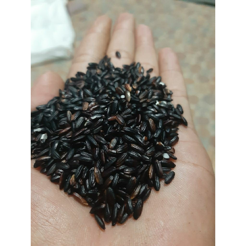 

beras ketan hitam