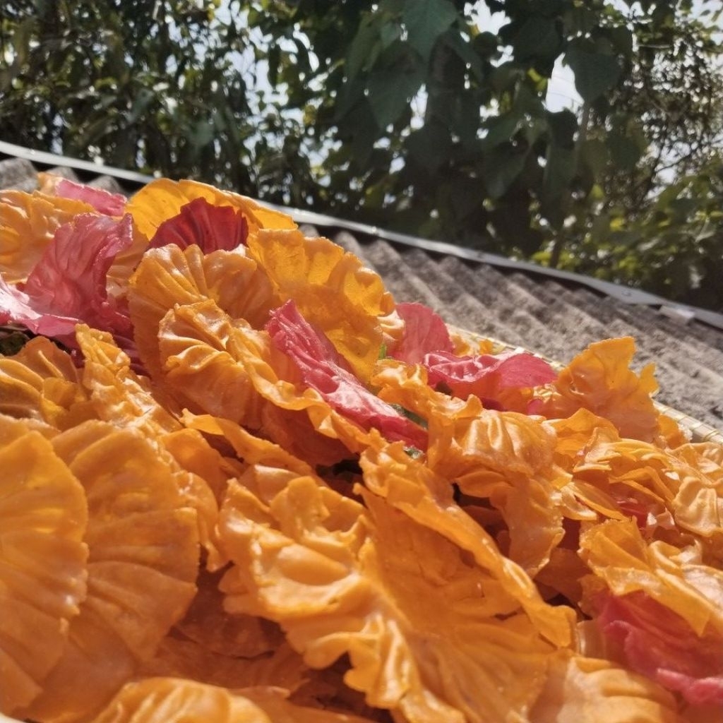 

SORODOT(kerupuktepungberas)