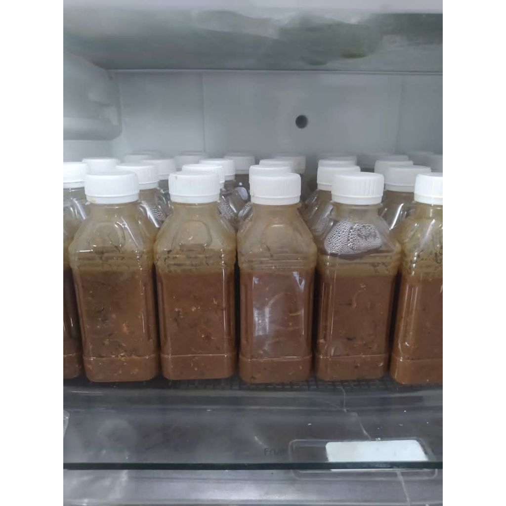 

rusip asli ikan bilis