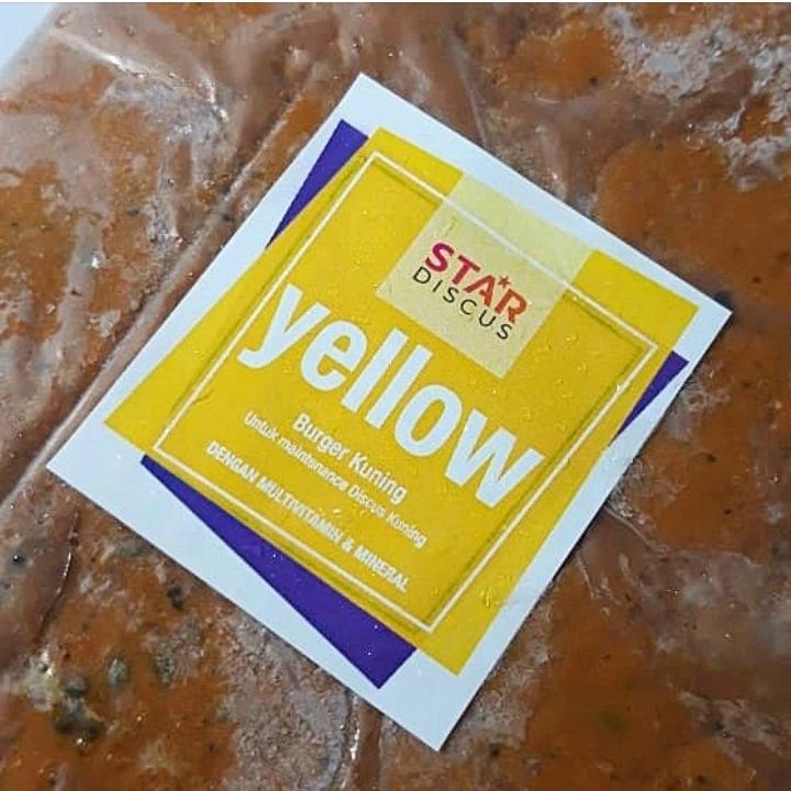 Burger Discus Yellow / Discus Golden