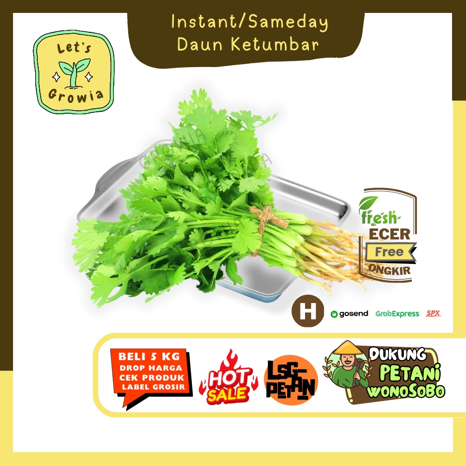 

Growia || Daun Ketumbar / Wangsui -- Hasil Petani Langsung Ecer (H)