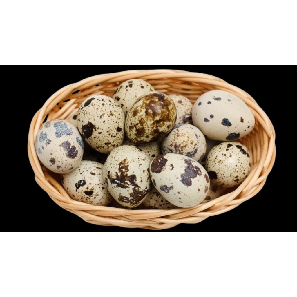 

Telur Puyuh 1 Kg