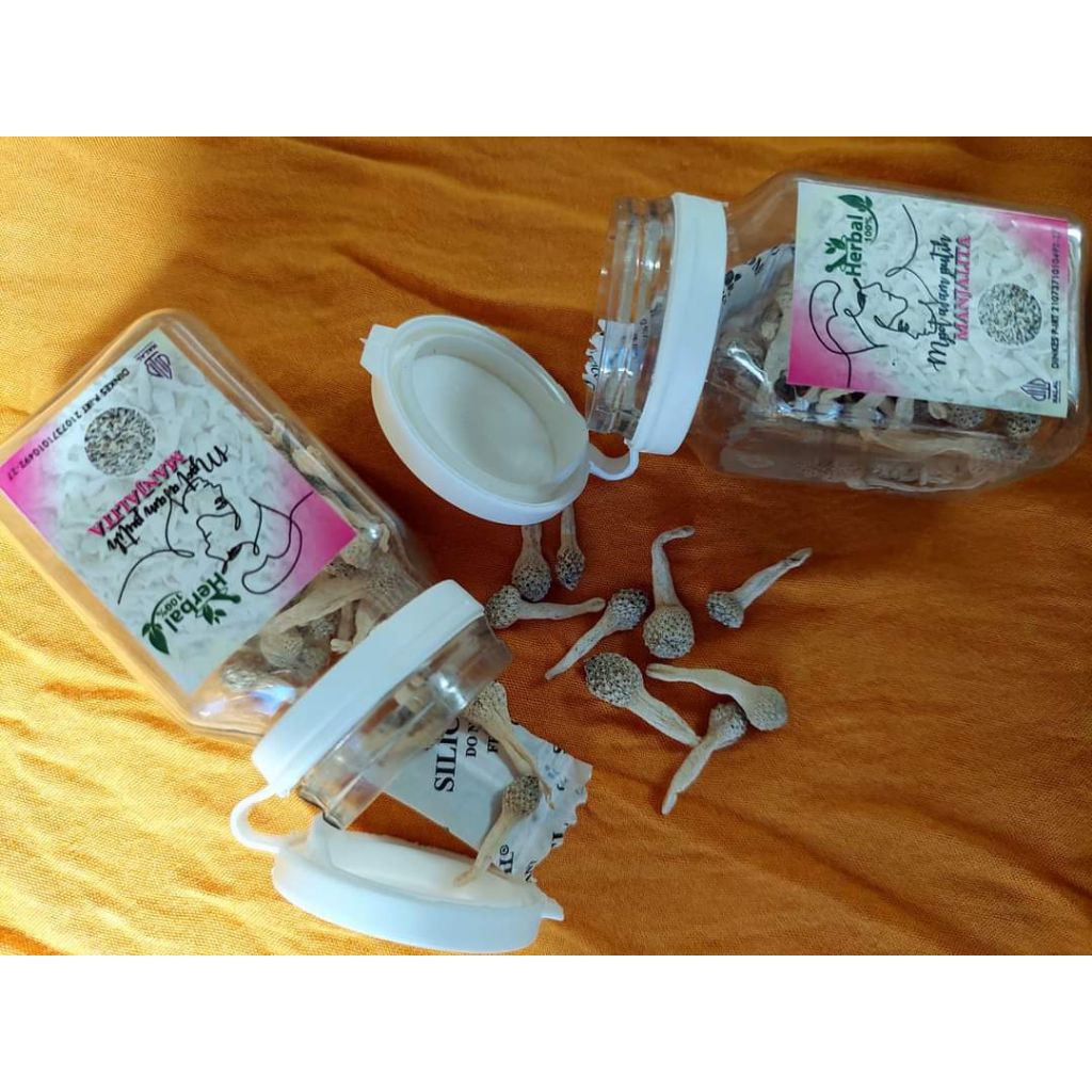 MPOT AYAM PUTIH MANJALITA ORIGINAL HERBAL ALAMI