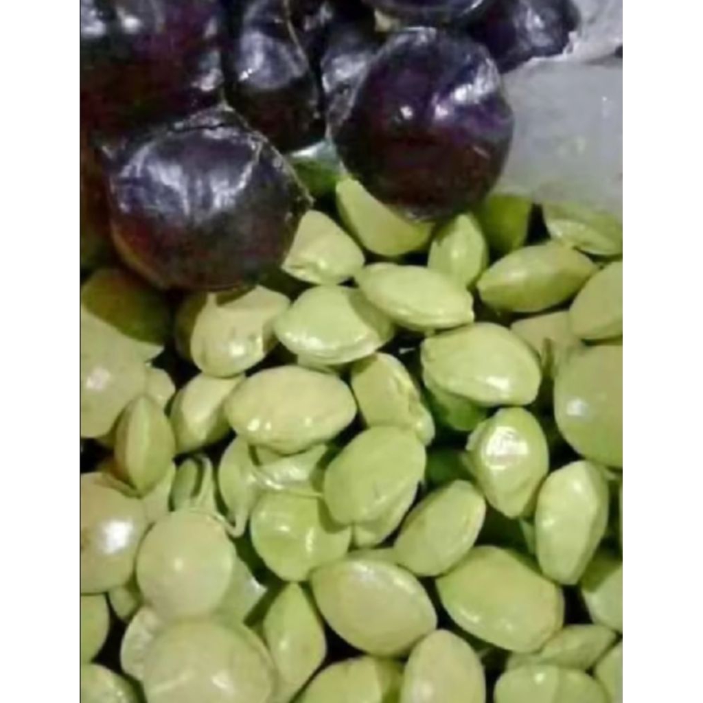 

Jengkol muda fresh/250 gram