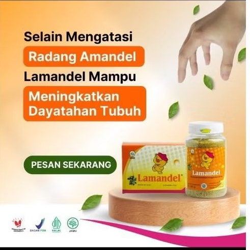 HERBAL LAMANDEL UNTUK MENGOBATI AMANDEL TANPA OPERASI