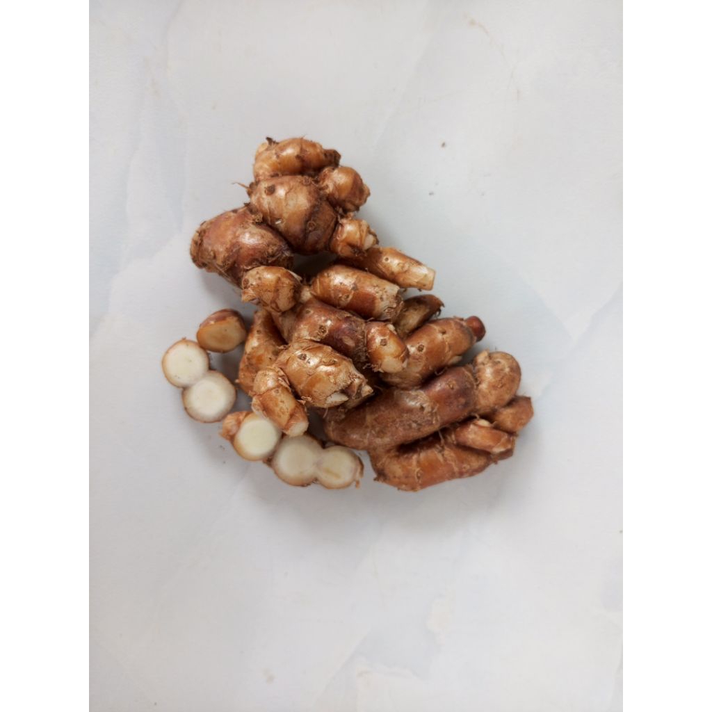 

kencur segar 500gram kencur seblak asli banten