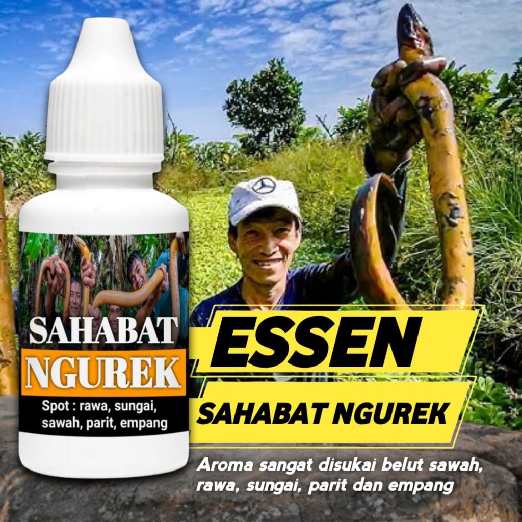 Essen sahabat ngurek kusus belut sungai