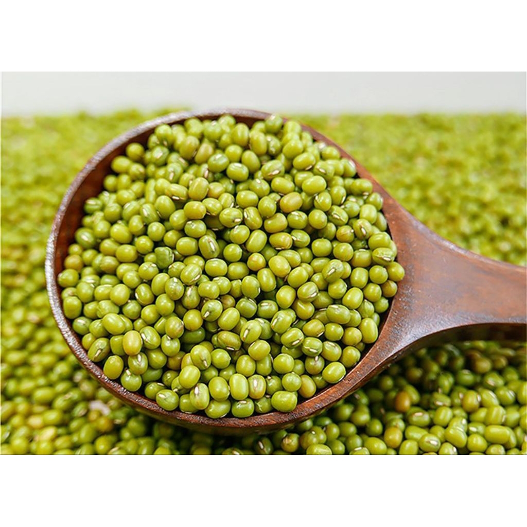 

Kacang Hijau kualitas super