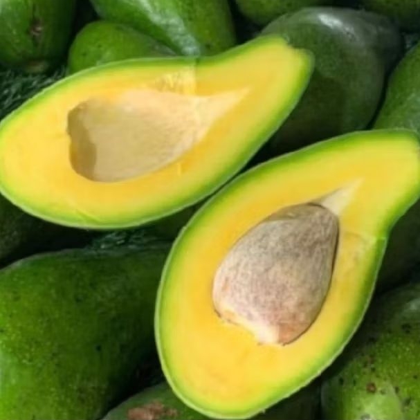 

Alpukat mentega 1 kg 3 dan 4 buah (COD GARANSI UANG KEMBALI)
