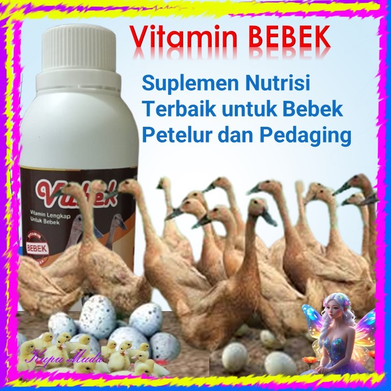 Vitamin Bebek / Vitamin bebek petelur / Vitamin bebek pedaging / Vitamin bebek agar cepat bertelur