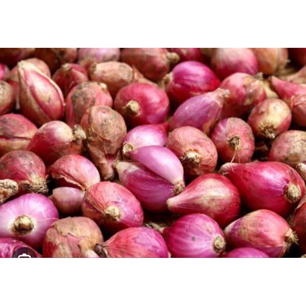 

bawangmerah