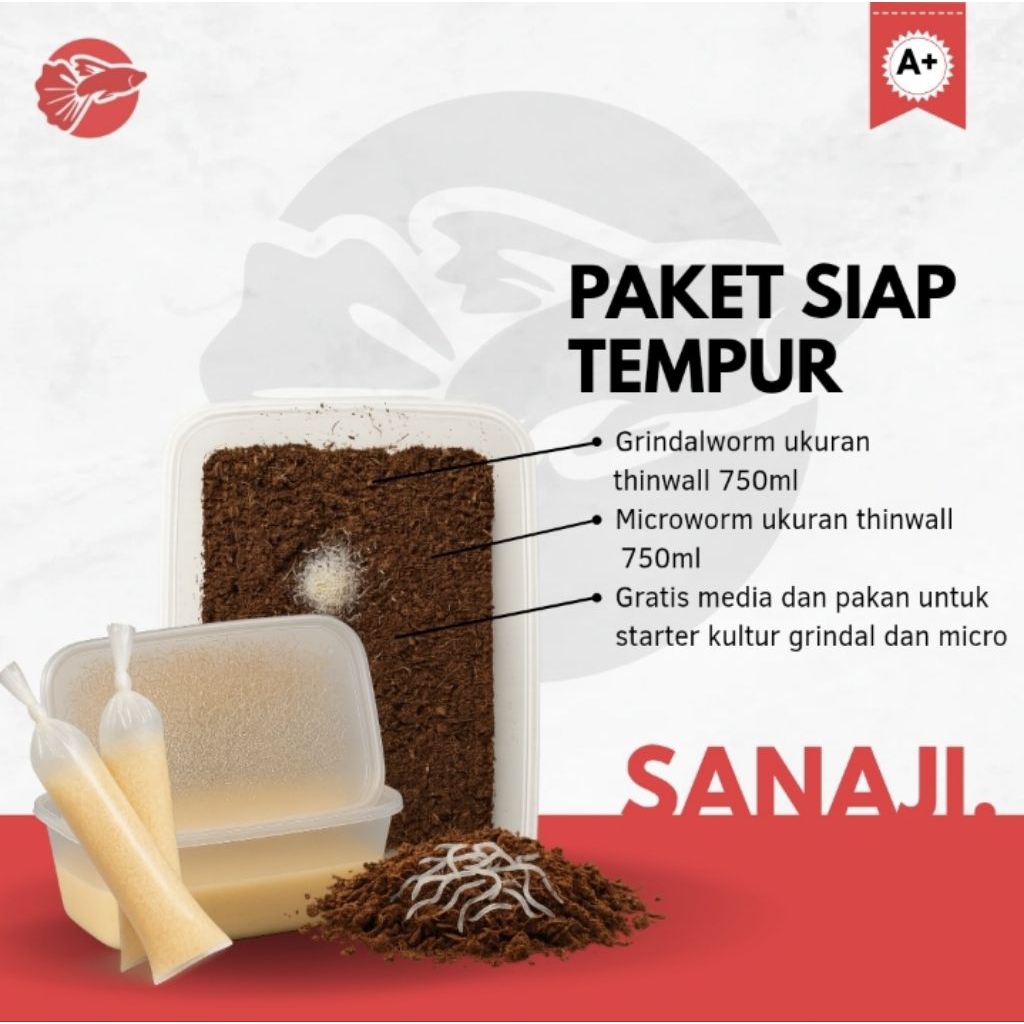 PAKET SIAP TEMPUR - grindalworm - microworm - paket lebih murah - pakan hidup ikan - cocok untuk bur