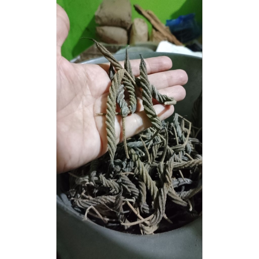 

KAYU OLEH/bahan herbal kering untuk mengatasi rewel bayi akibat linu2/ 6bjj