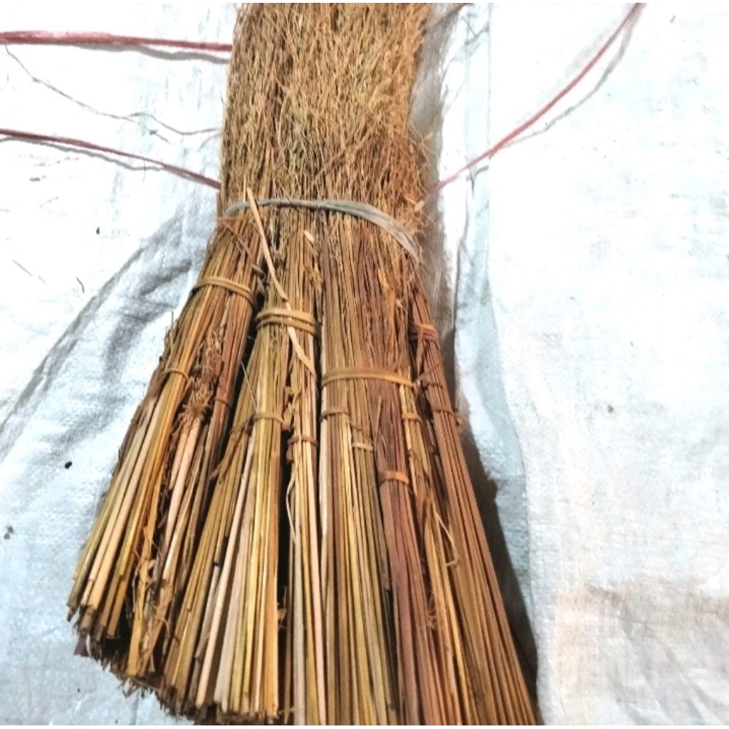 

Merang padi ketan hitam