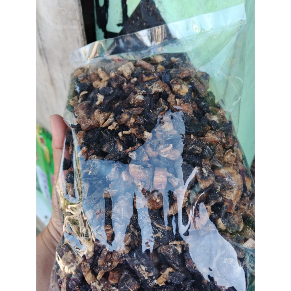 

Gatot Instant Kenyil kenyil dari singkong khas desa, berat 500gram