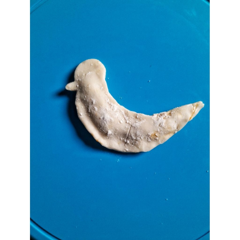 

Cireng Isi Ayam Sayur - Bentuk Burung
