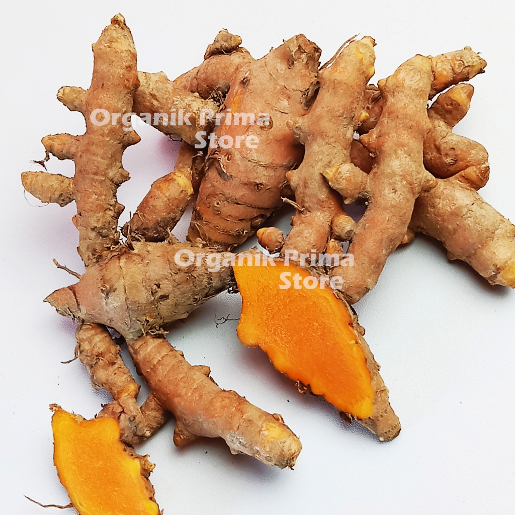 

Kunyit Segar 500gr Kunir Fresh Asli dan Organik