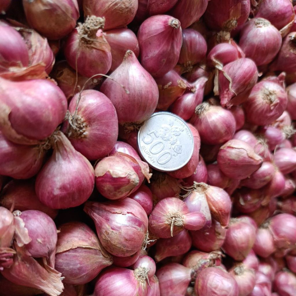 

bamer tanggung besar