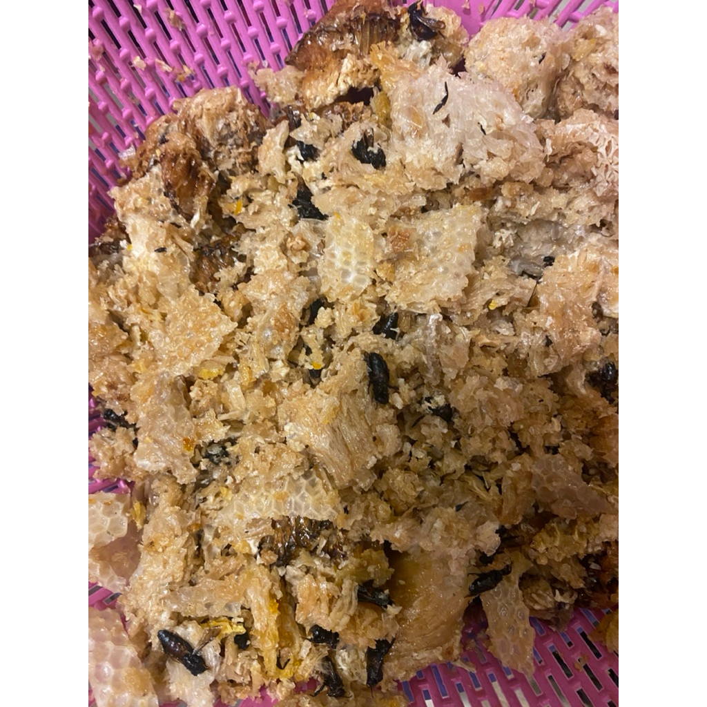 

Sarang Madu Hutan Kering Asli