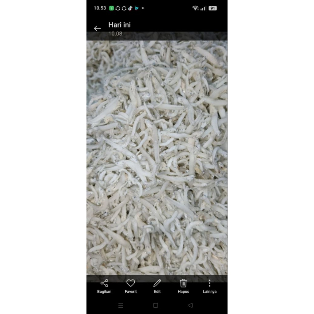 

TERI MEDAN asli cantik 1kg