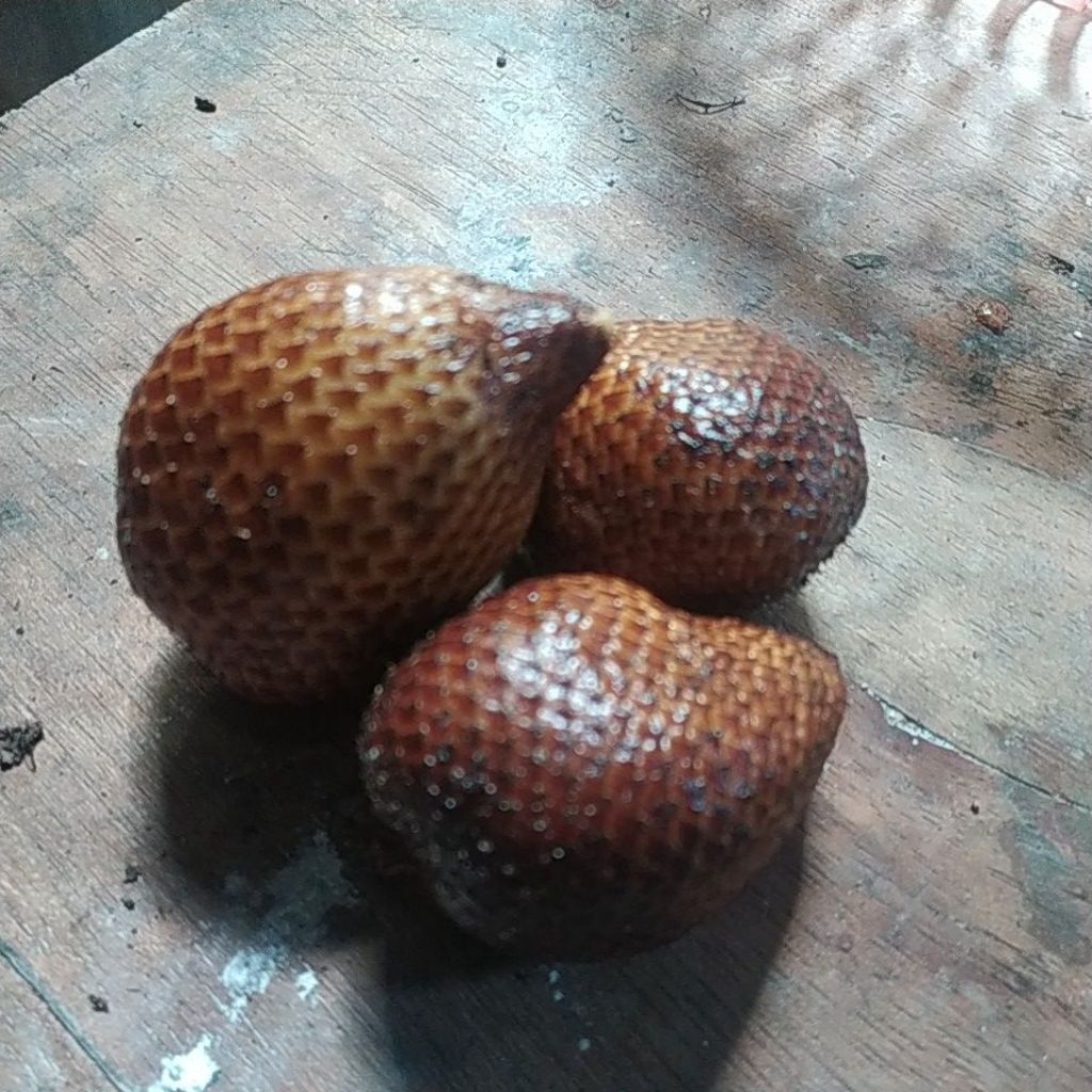 

SALAK MANGSIR 1 KILO TIMBANGAN EKSPEDISI PETIK POHON LANGSUNG FRESH