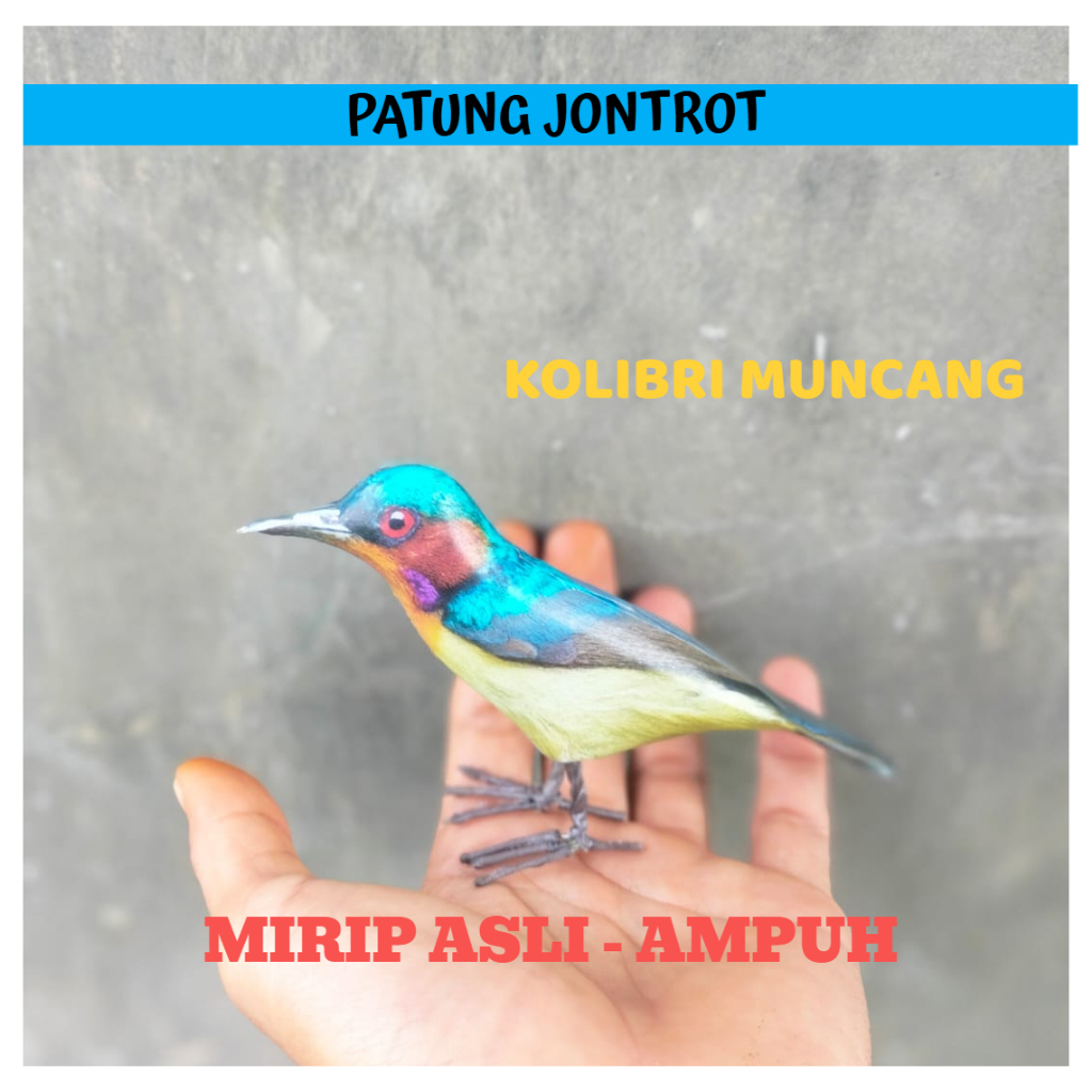 PATUNG JONTROT BURUNG KOLIBRI MUNCANG - JONTROT BURUNG KOLIBRI MUNCANG