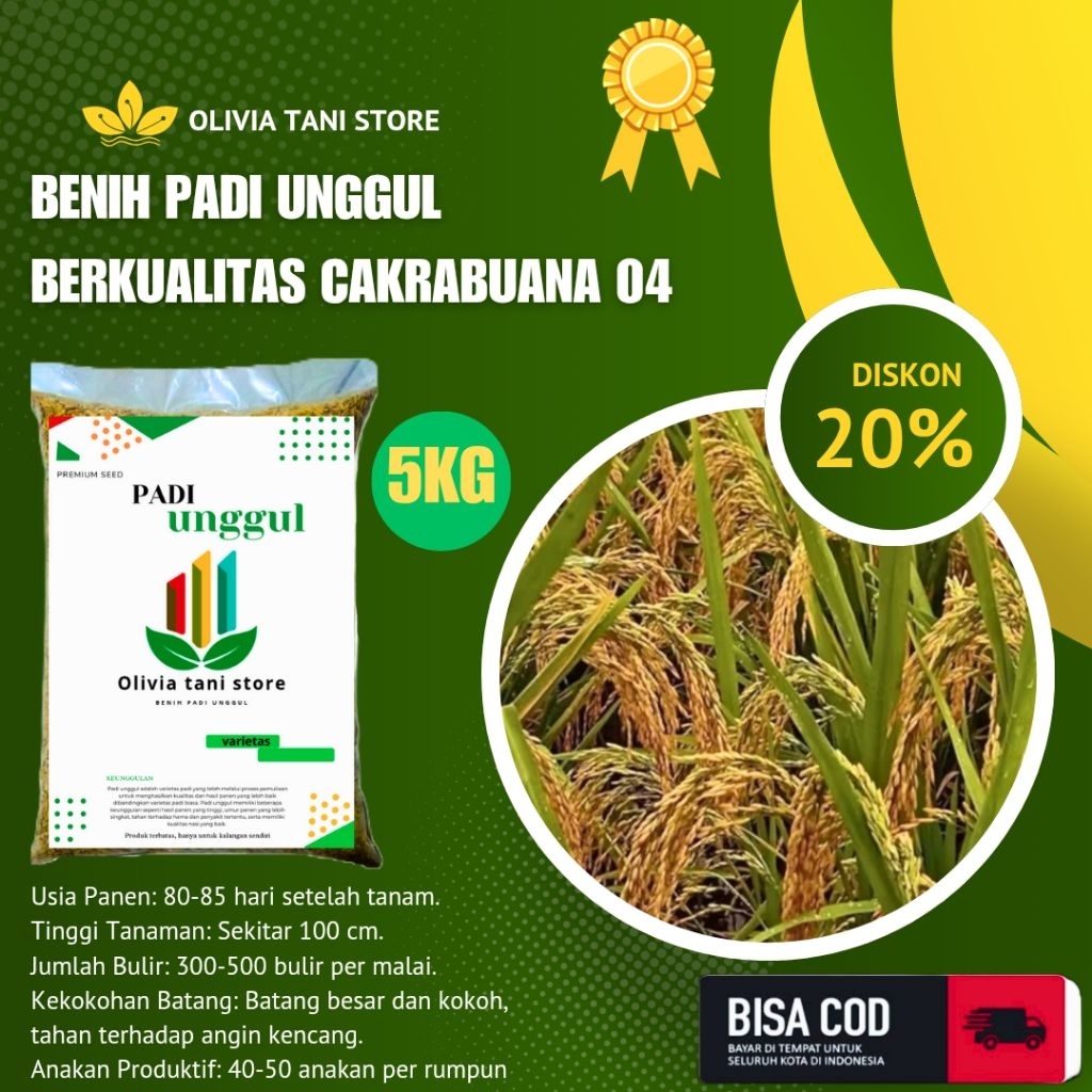 BENIH PADI UNGGUL BERKUALITAS CAKRABUANA 04 100% ORIGINAL