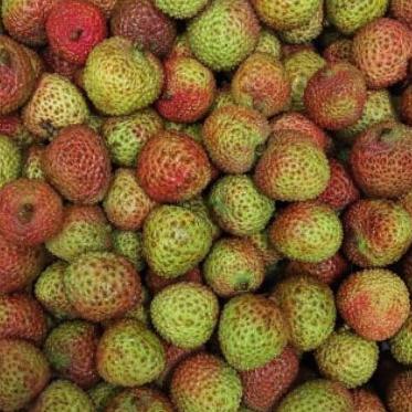 

Lychee per 1 kg Promoooo mix Kulit Hitam