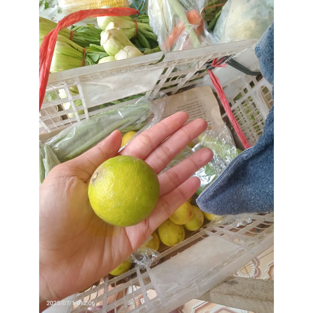 

JERUK NIPIS 1 BUTIR/1 BUAH JERUK NIPIS/SMBB/Sayurmayurbpkbaum