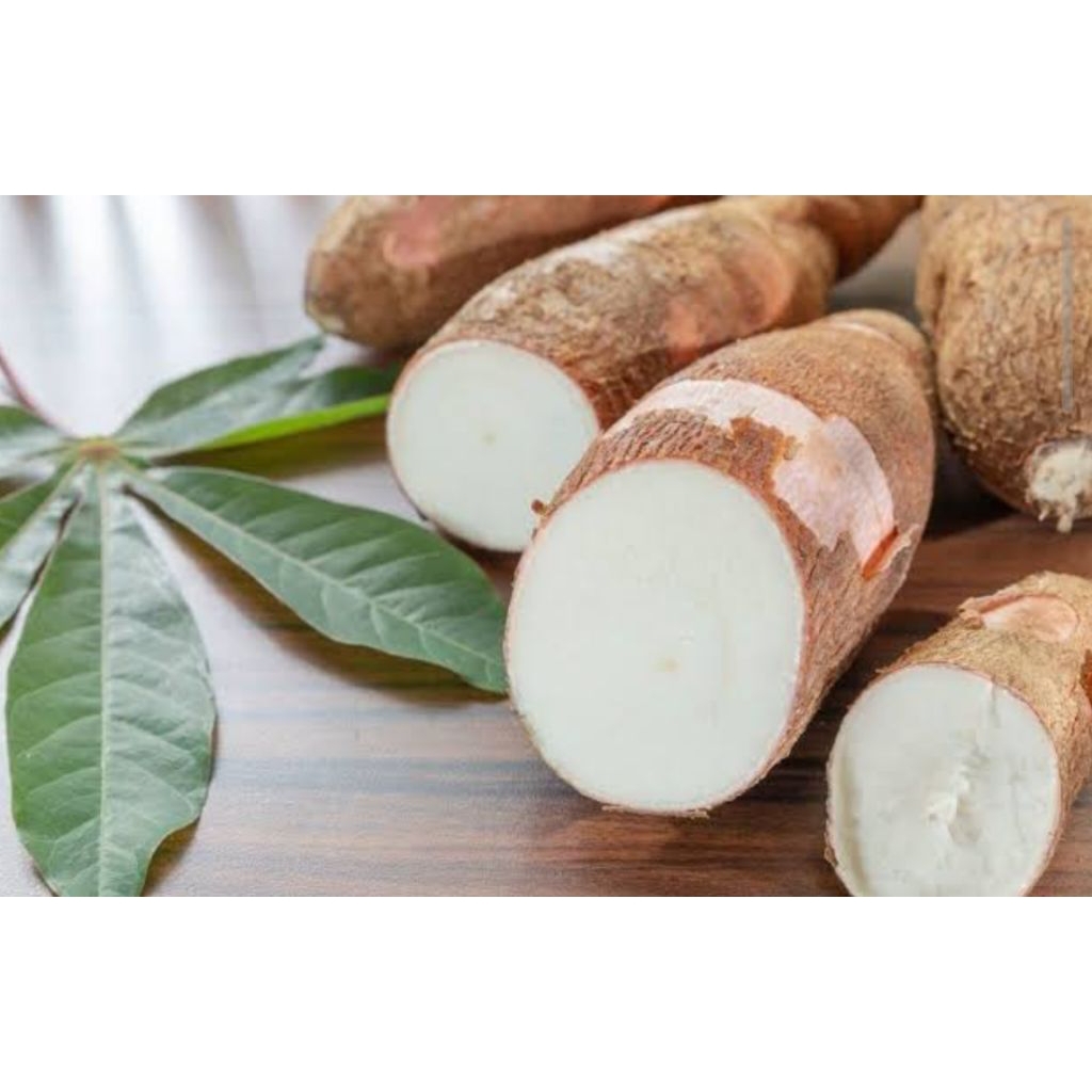 

1 KG UMBI SINGKONG PULEN/100%ORGANIK