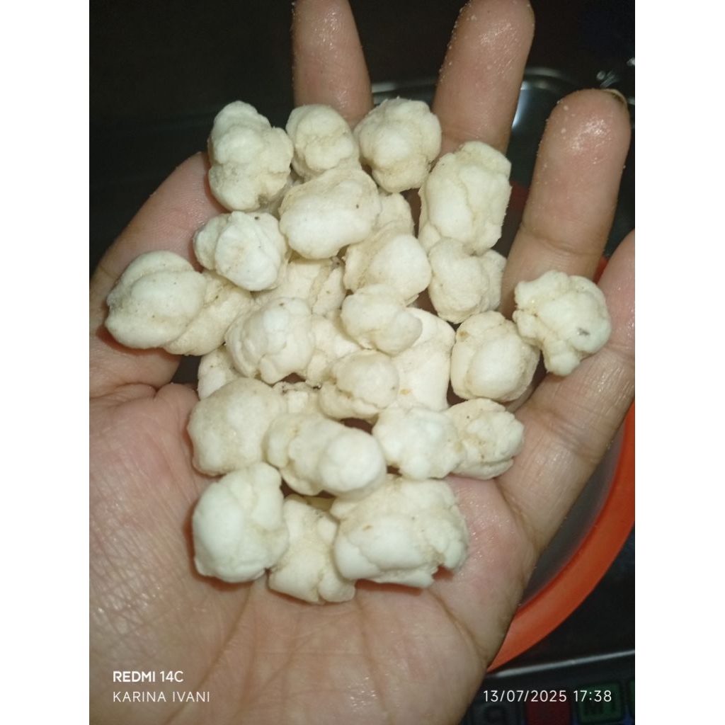 

Pilus Cikur Toping Seblak