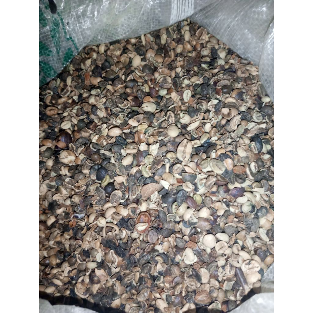 

biji kopi pixel Lampung