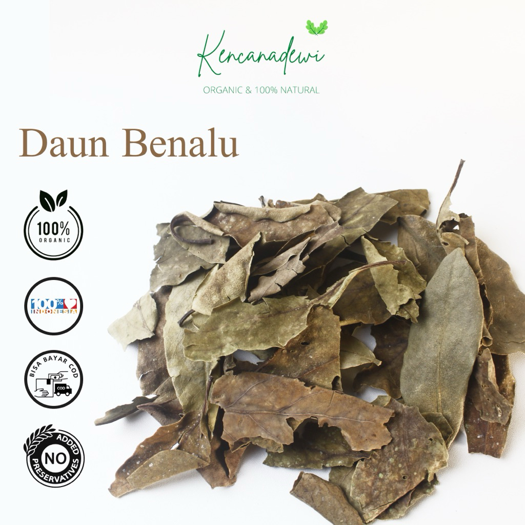 

Herbal Benalu Teh-Scurrula oortiana Kering Murni HERBAL 100 gram - 1 KG